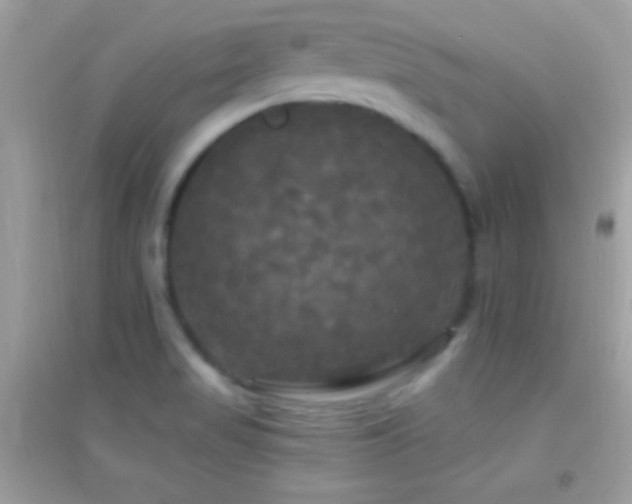 X0000095111517200712071205