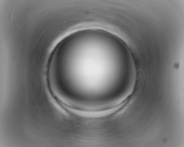X0000095111518200712071205