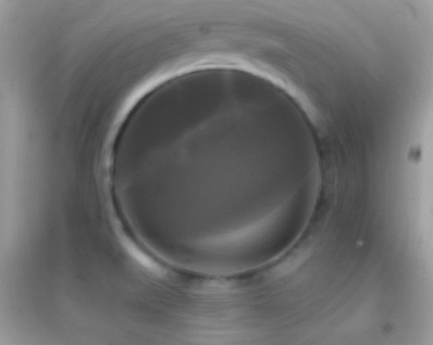 X0000095111519200712071205