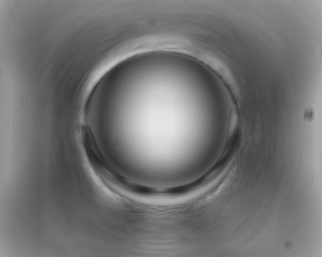 X0000095111520200712071205