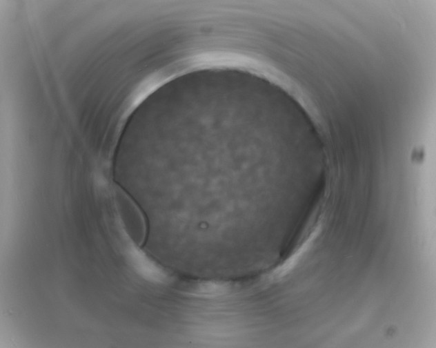 X0000095111521200712071205