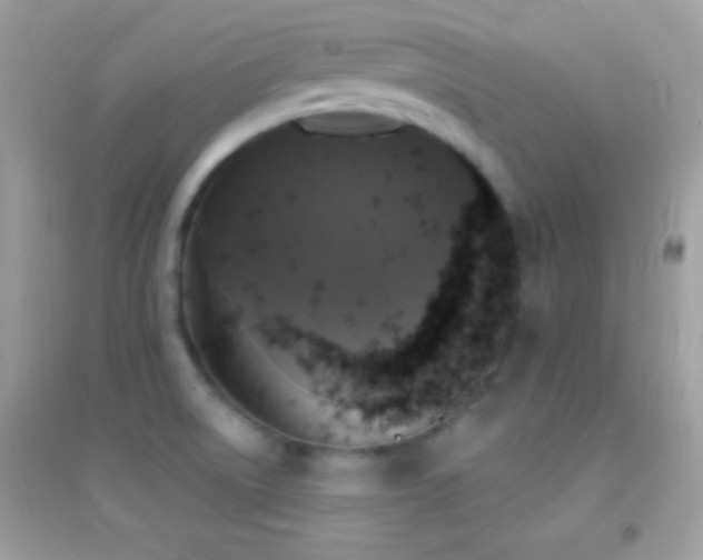 X0000095111522200712071205