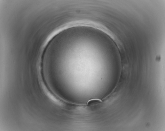 X0000095111523200712071205