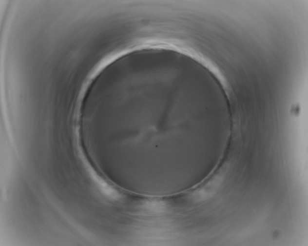 X0000095111525200712071205