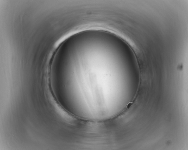 X0000095111526200712071205