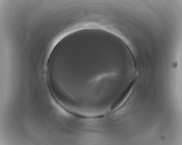 X0000095111527200712071205