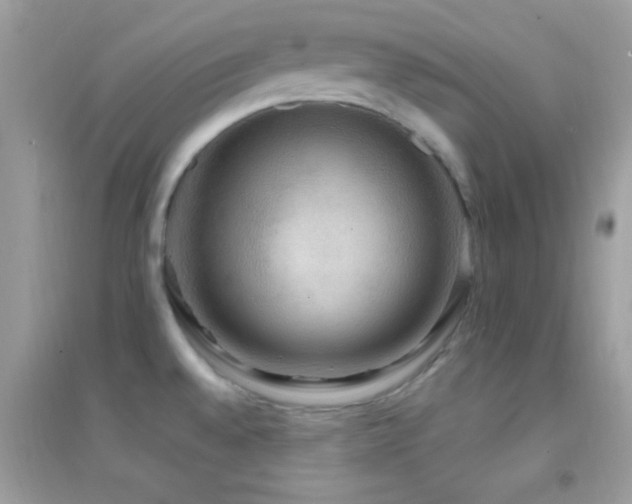 X0000095111528200712071205