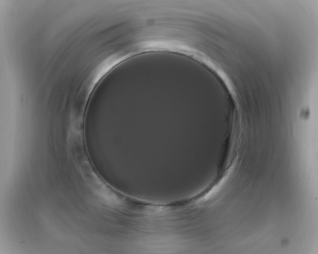 X0000095111529200712071205