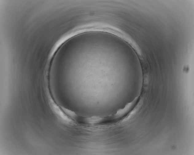 X0000095111530200712071205