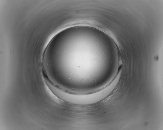 X0000095111532200712071205