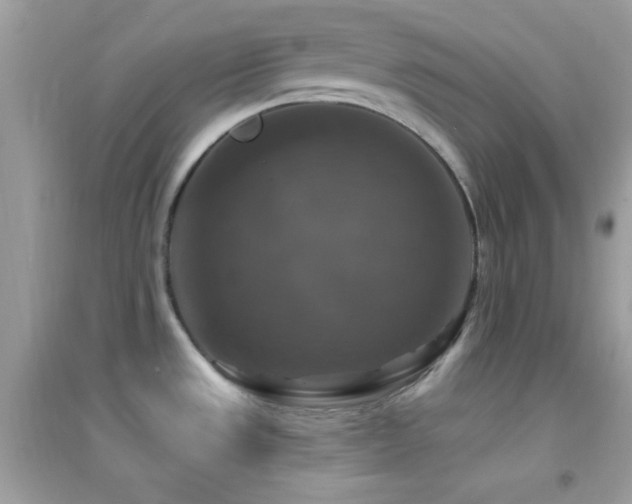 X0000095111533200712071205