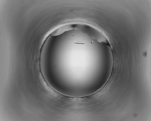 X0000095111534200712071205
