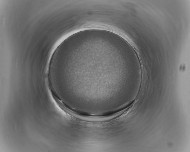 X0000095111536200712071205