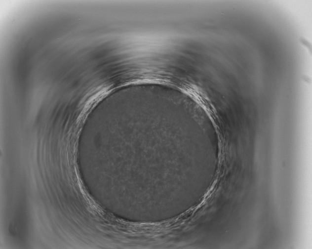 X0000095110001200712141202