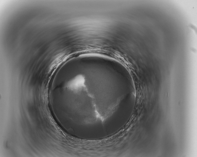 X0000095110002200712141202