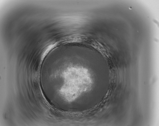 X0000095110003200712141202