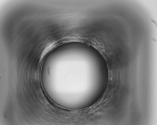 X0000095110004200712141202