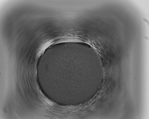 X0000095110005200712141202