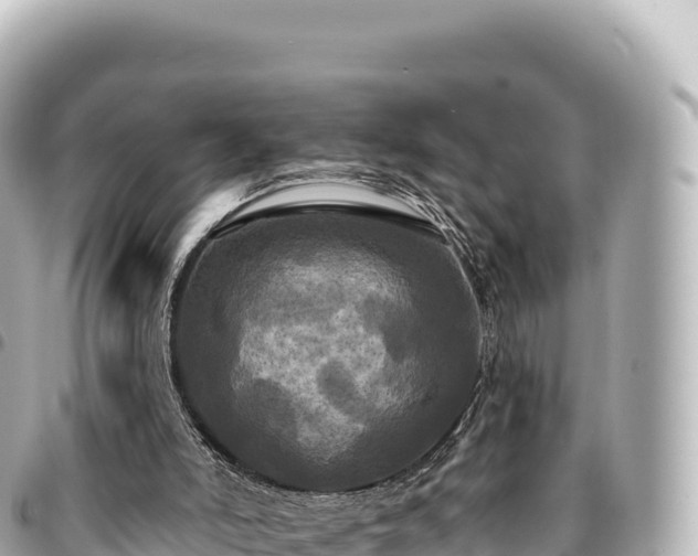 X0000095110006200712141202