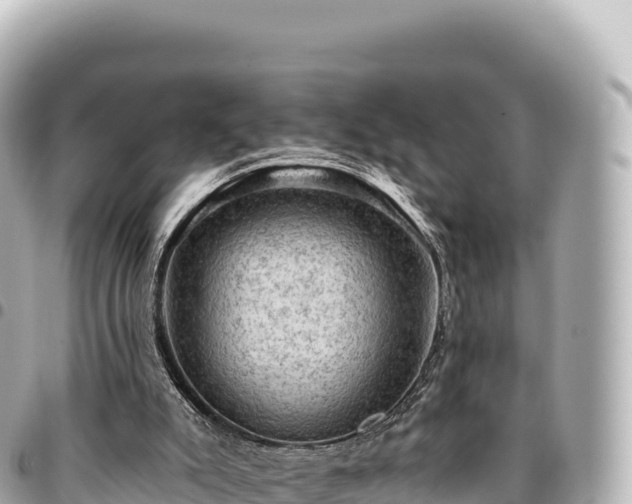 X0000095110007200712141202