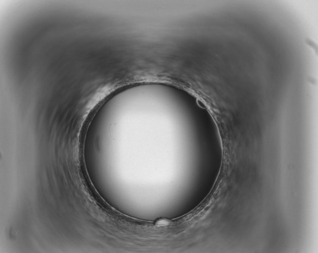 X0000095110008200712141202