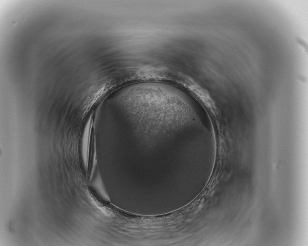 X0000095110009200712141202