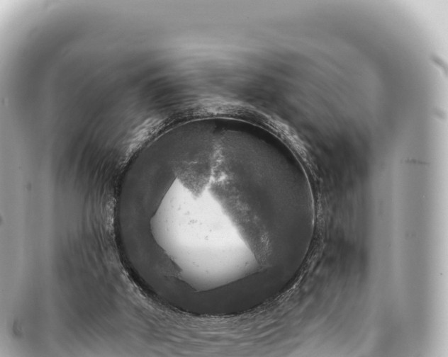 X0000095110010200712141202