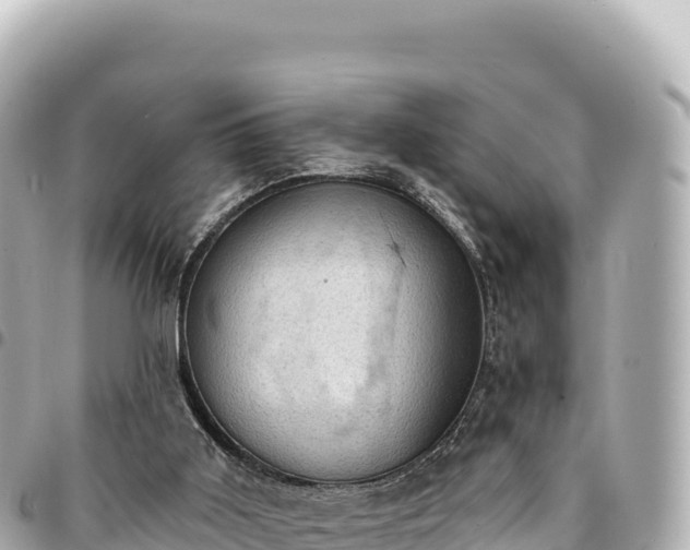 X0000095110011200712141202