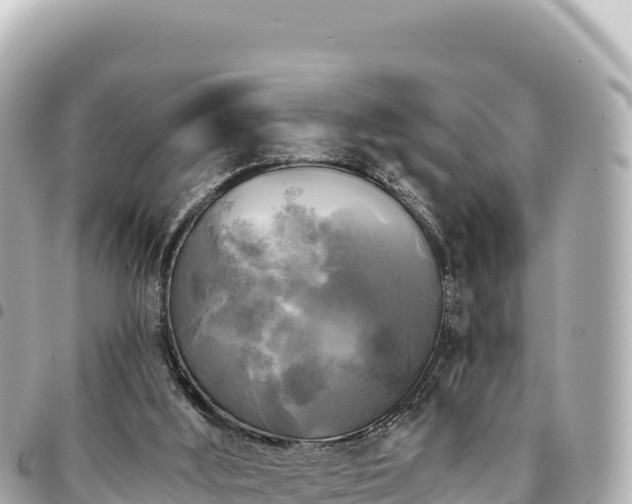 X0000095110012200712141202