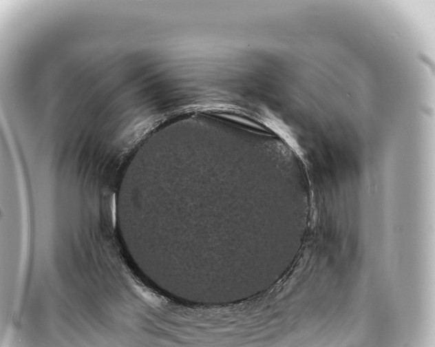 X0000095110013200712141202