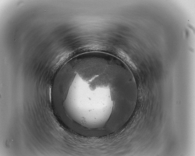 X0000095110014200712141202