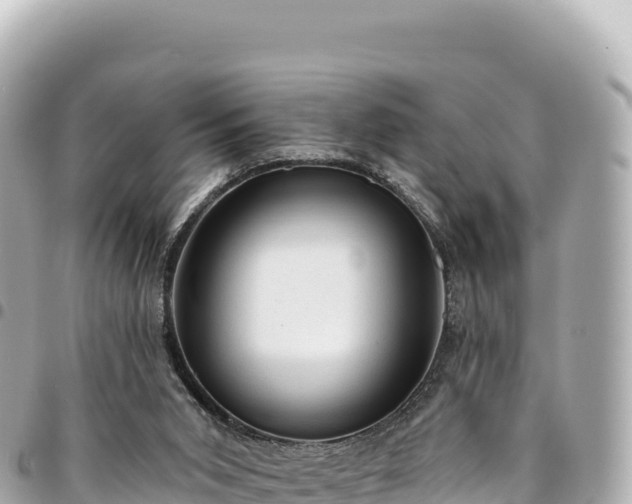 X0000095110015200712141202