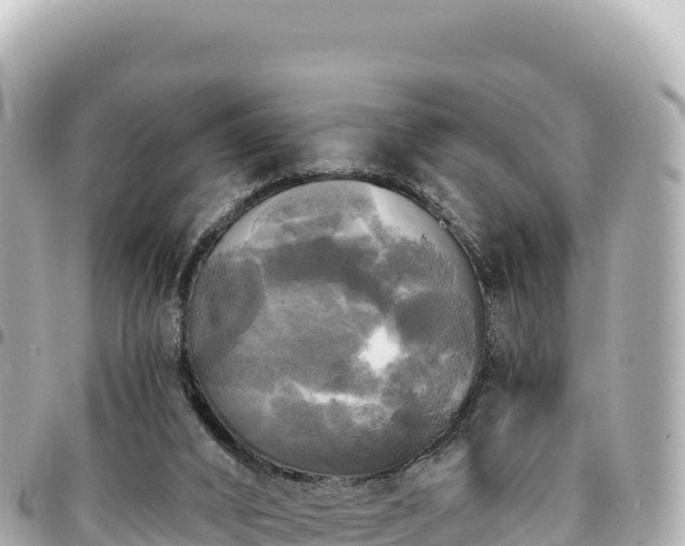 X0000095110016200712141202