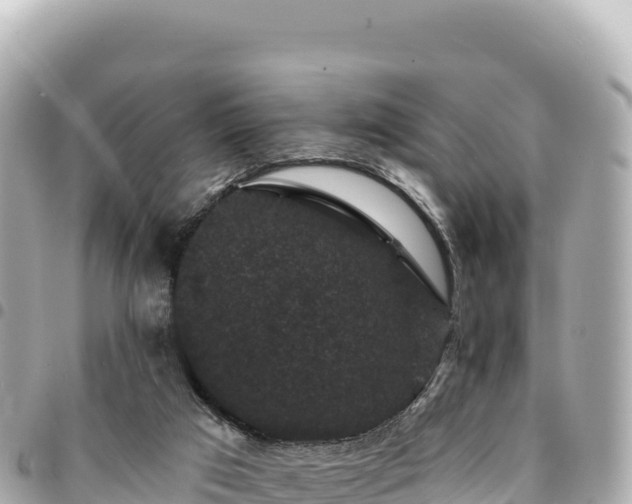 X0000095110017200712141202