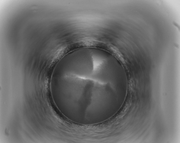 X0000095110018200712141202