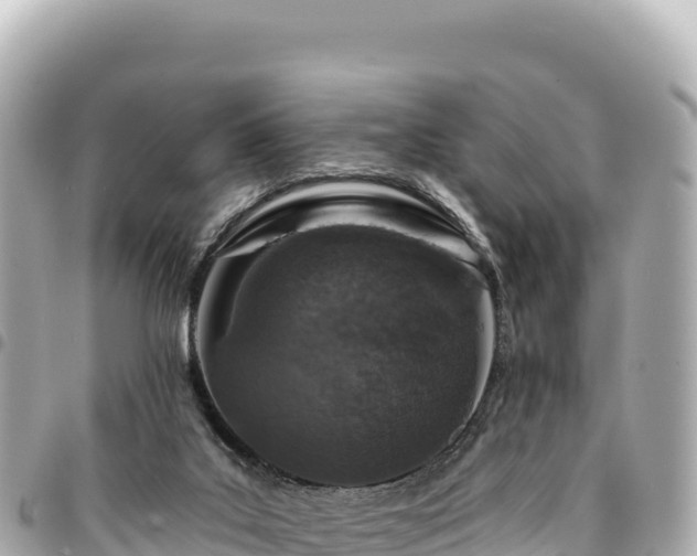 X0000095110019200712141202