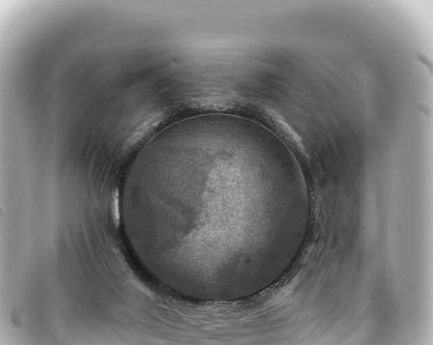 X0000095110020200712141202