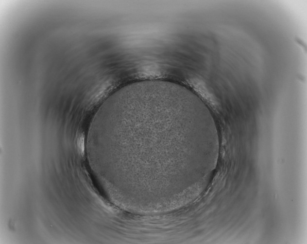 X0000095110021200712141202