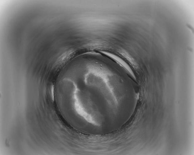 X0000095110022200712141202