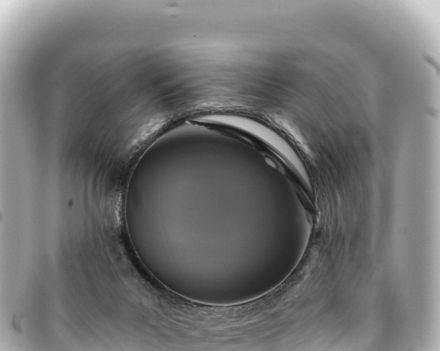 X0000095110023200712141202