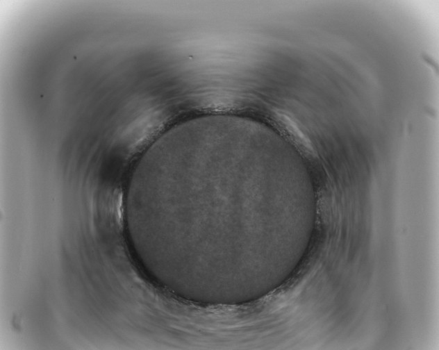 X0000095110024200712141202