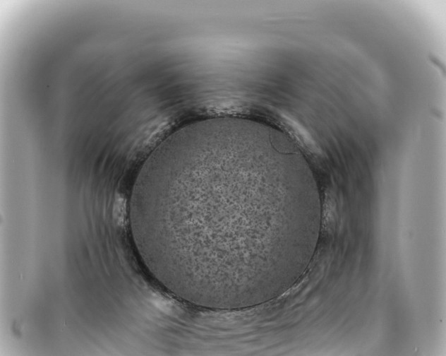 X0000095110025200712141202