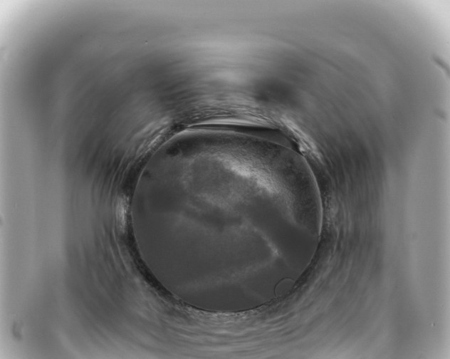 X0000095110026200712141202