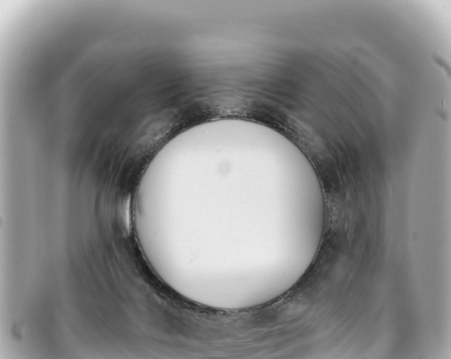 X0000095110028200712141202