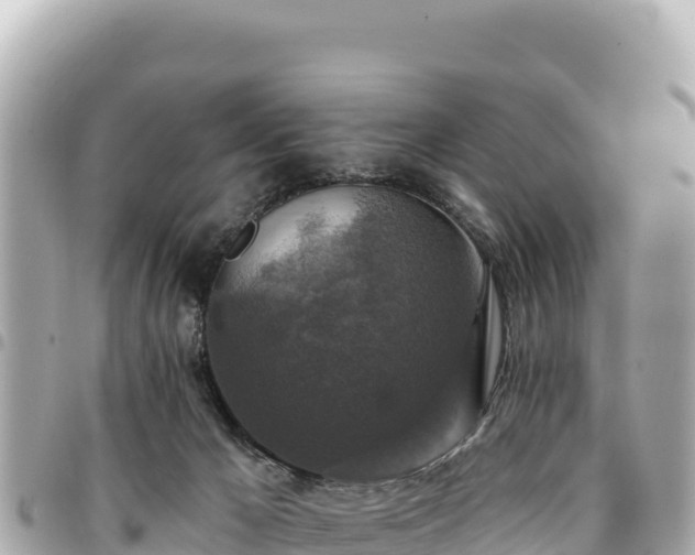 X0000095110029200712141202