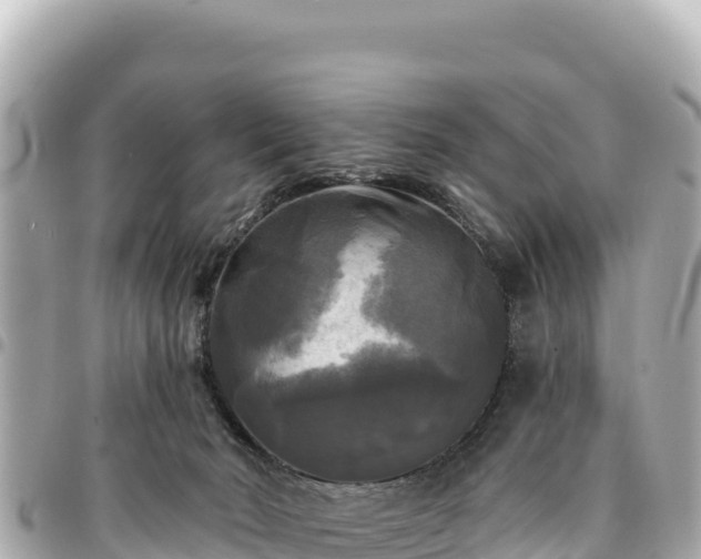 X0000095110030200712141202