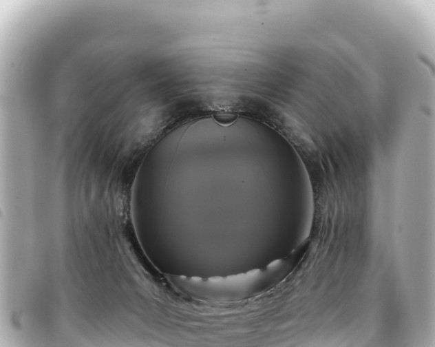 X0000095110031200712141202