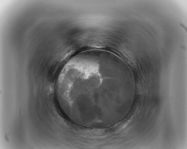 X0000095110032200712141202