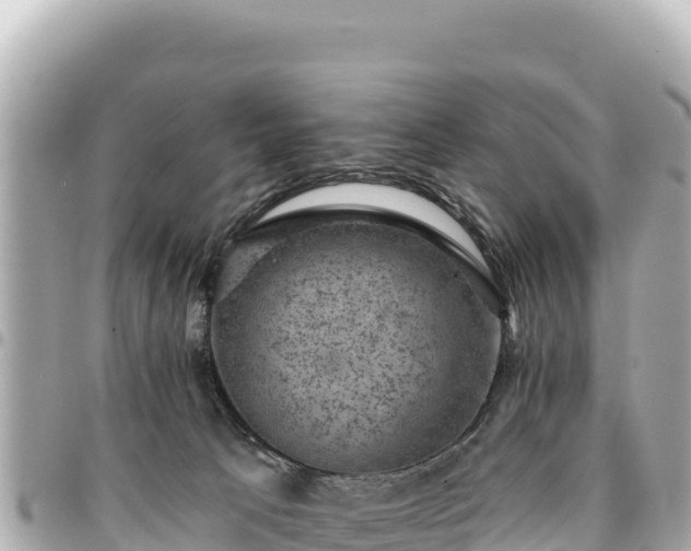 X0000095110033200712141202