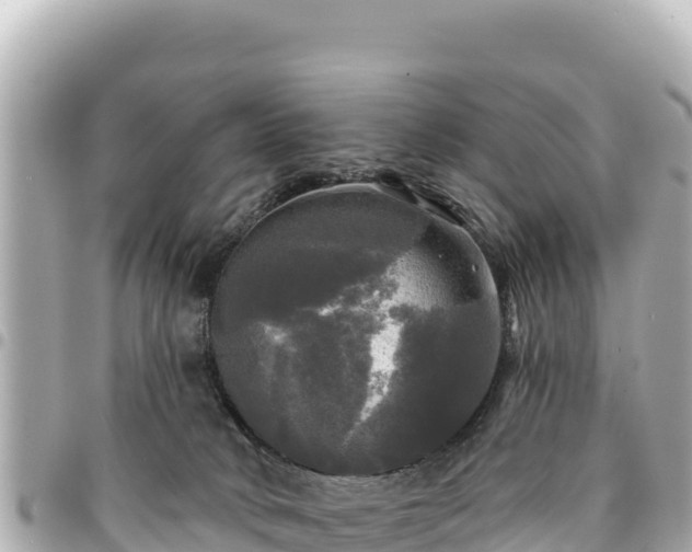 X0000095110034200712141202